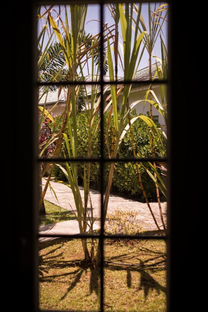 Photo de paysage en Guadeloupe par une fenêtre