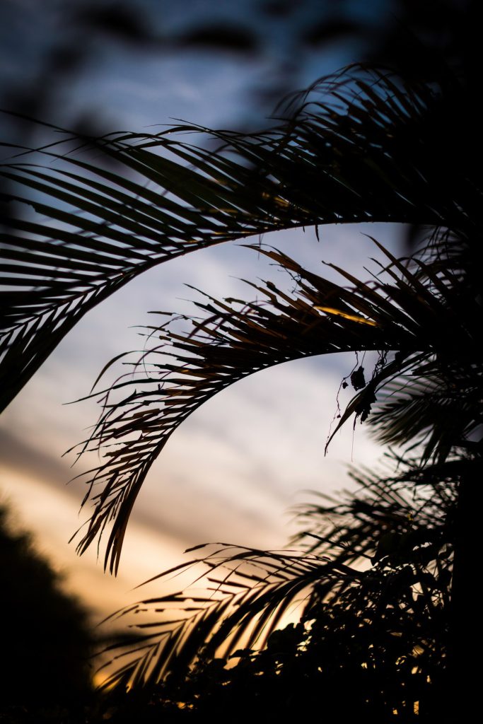 Photographe en Guadeloupe