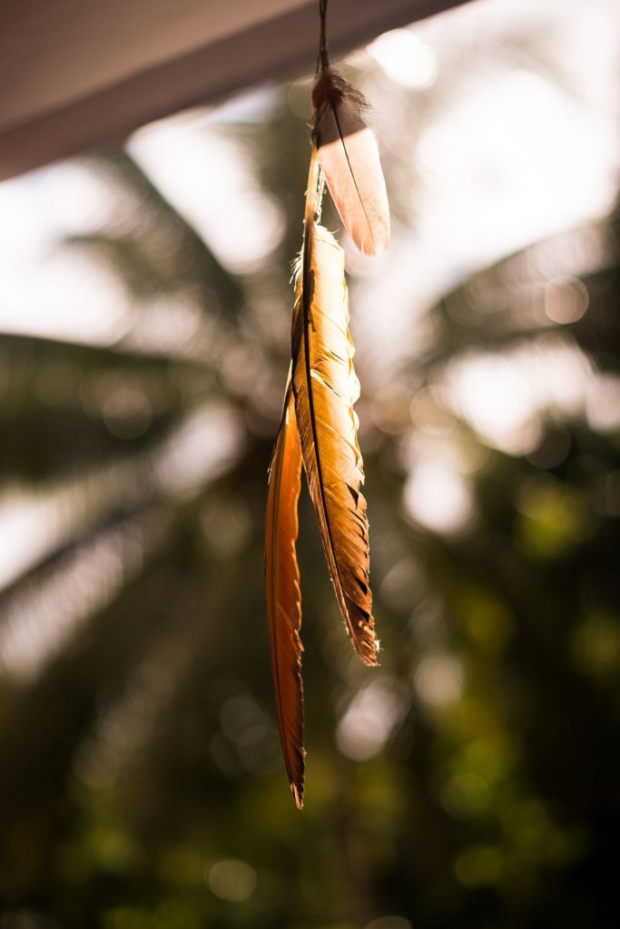 Photographe en Guadeloupe